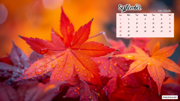 September 2024 Calendar Wallpaper Desktop.