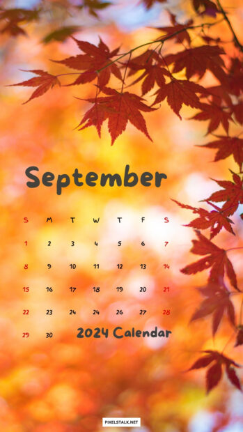 September 2024 Calendar iPhone Wallpaper High Quality.