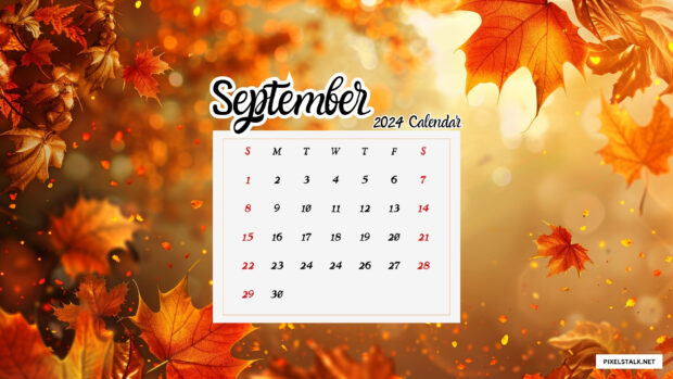 September 2024 Desktop Wallpaper 1920x1080 (5).