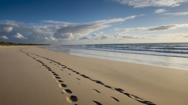 Serene beach HD wallpaper with a lone figure walking along the shoreline, leaving footprints in the sand.
