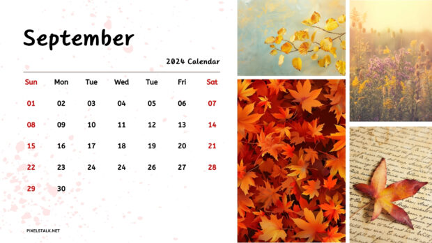 Simple September 2024 Calendar Background.