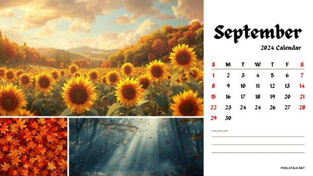 The best September 2024 Calendar Wallpaper HD.