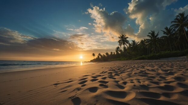 Tranquil summer beach scene with a lone palm tree casting a shadow on the sand, as the sun sets in the distance.